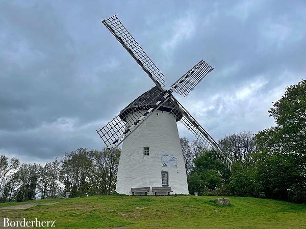 Naturzeit mit Kindern am Niederrhein