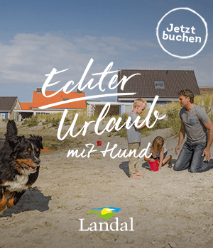 Urlaub mit Hund