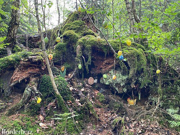 Naturzeit mit Kindern am Niederrhein