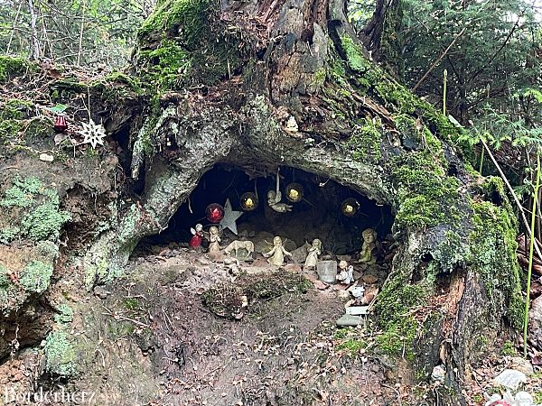 Naturzeit mit Kindern am Niederrhein