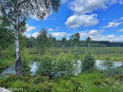 Hochmoor Mecklenbruch