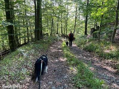 Landurlaub in der VoglerRegion