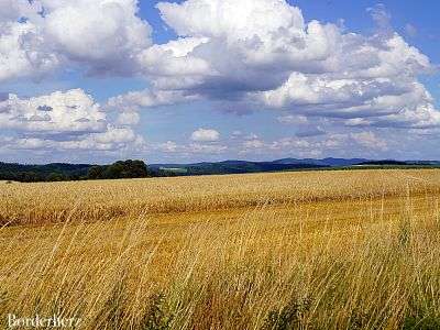 Landurlaub in der VoglerRegion