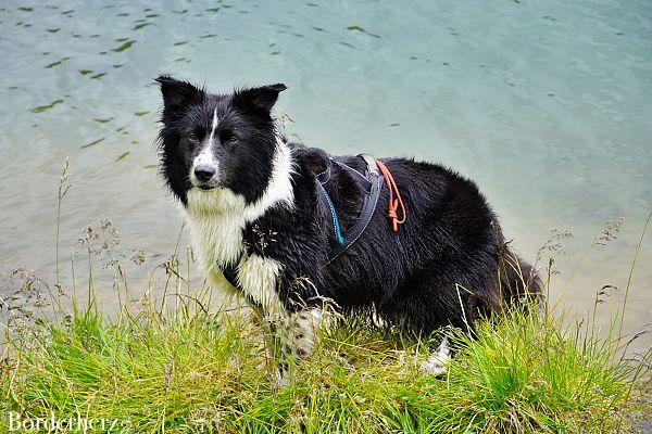 Hundefreundliche Hüttentour Zupalseehütte