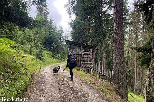 Hundefreundliche Hüttentour Zupalseehütte