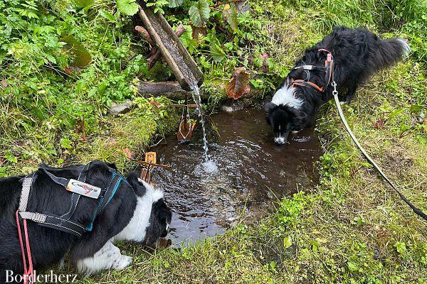 Hundefreundliche Hüttentour Zupalseehütte