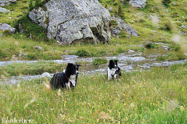 Wanderung zur Filmoor Standschützenhütte