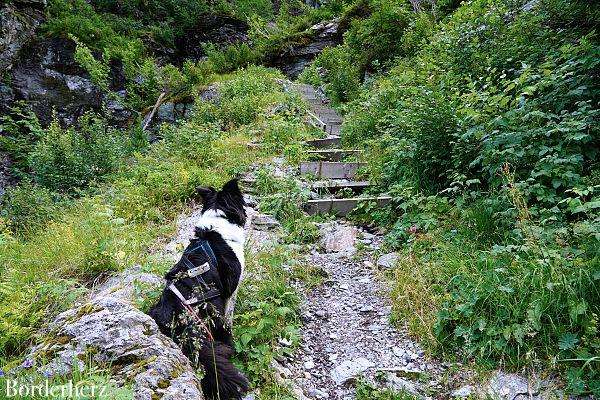 Wanderung zur Filmoor Standschützenhütte