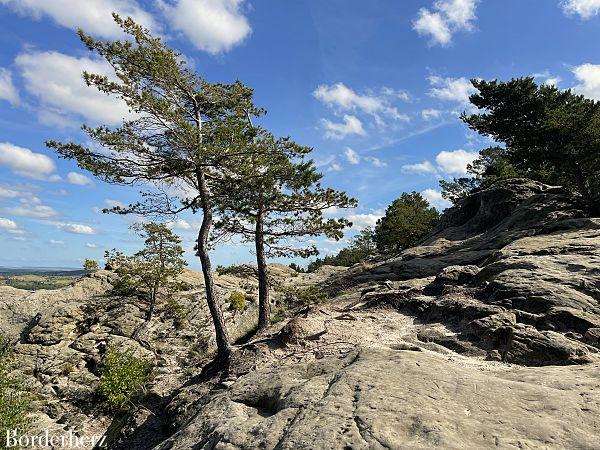 Abenteuer im Harz