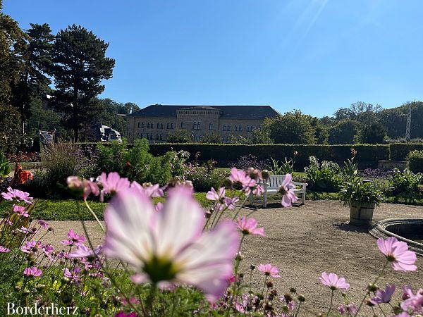 Abenteuer im Harz