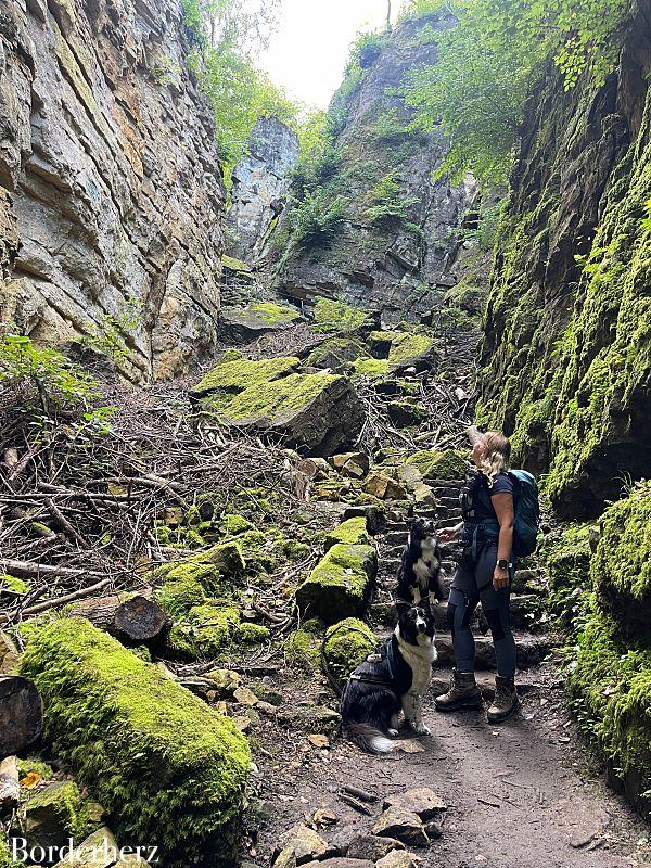 Wolfsschlucht Echternach