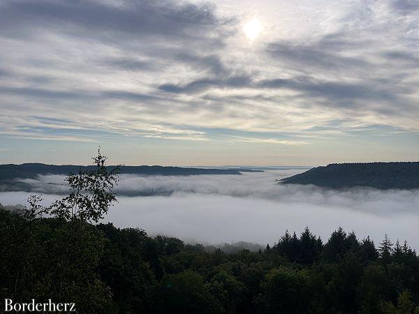 Wanderungen in der Eifel mit Hund