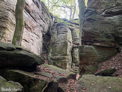 Wanderungen in der Eifel mit Hund