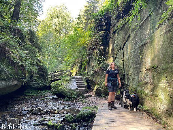 Wanderungen in der Eifel mit Hund