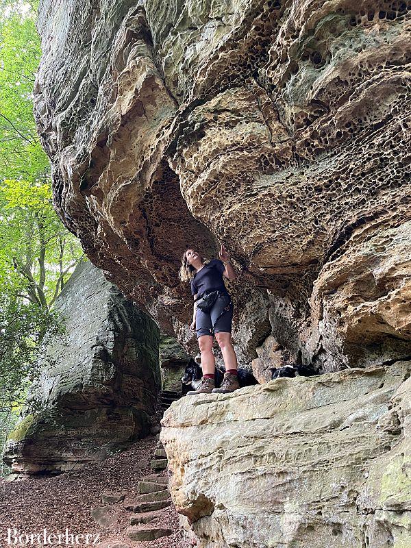 Wanderungen in der Eifel mit Hund