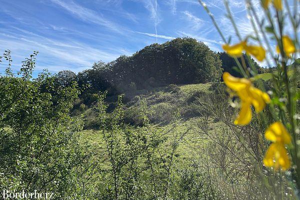 Wandern in der Eifel mit Hund