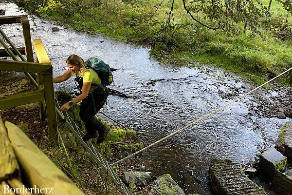 Wandern in der Eifel mit Hund