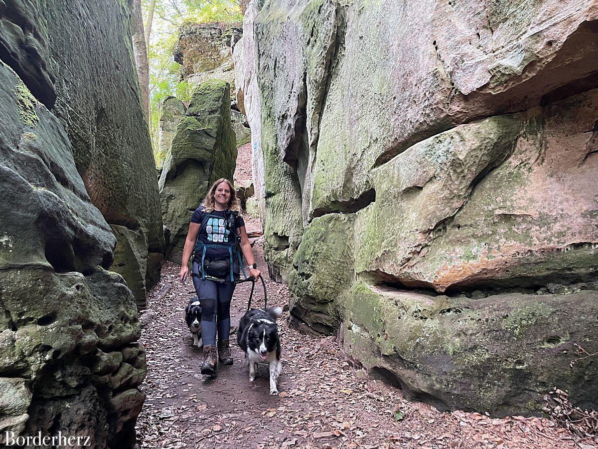 Wanderungen in der Eifel mit Hund