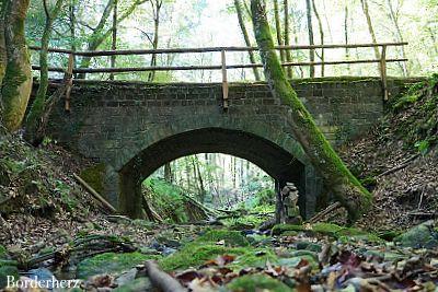 Wandern in der Eifel mit Hund