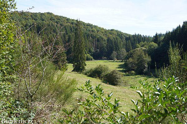 Wandern in der Eifel mit Hund