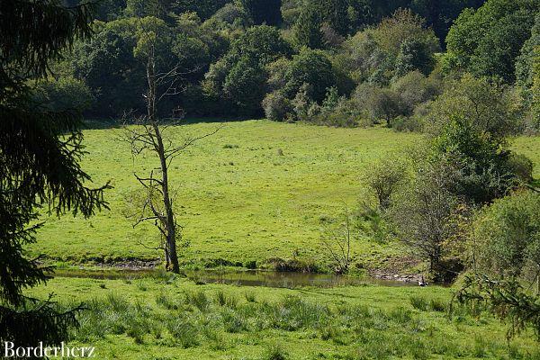 Wandern in der Eifel mit Hund