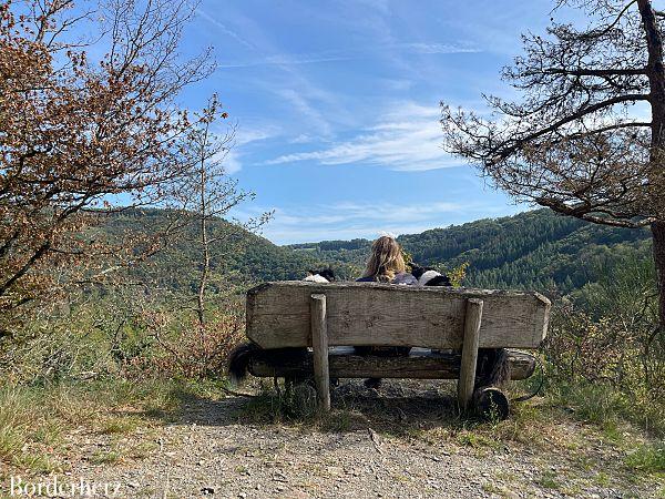 Wanderungen in der Eifel mit Hund