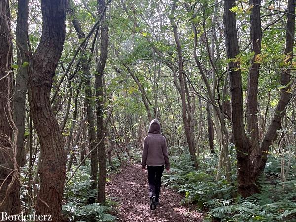 Wandern auf Texel