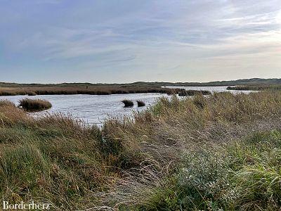 Wandern auf Texel De Slufter