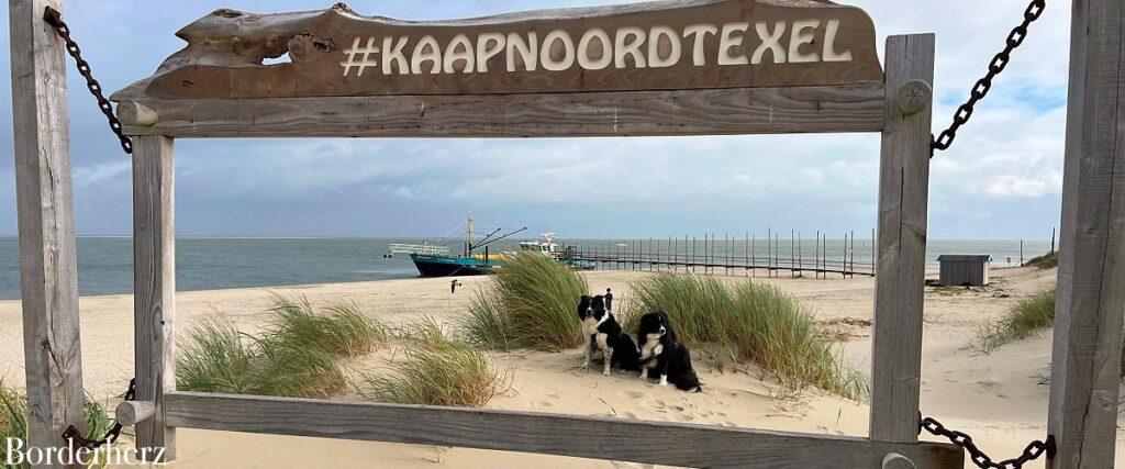 texel header breit 1