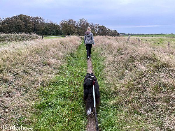 Wandern auf Texel