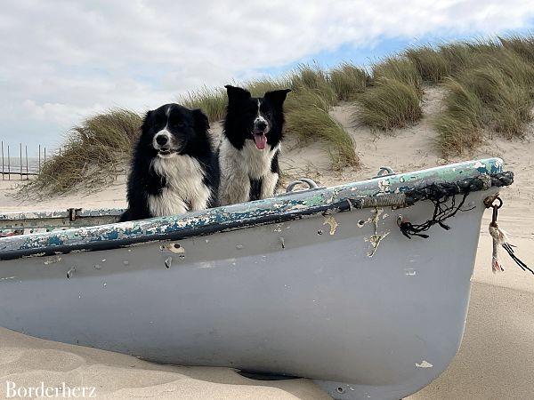 Kaap Noord wandern Texel