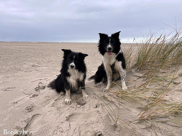 wandern auf texel