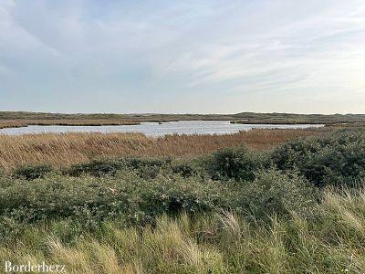 Wandern auf Texel De Slufter