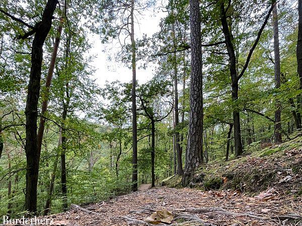 Wandern am Edersee