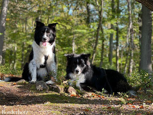 Wandern am Edersee