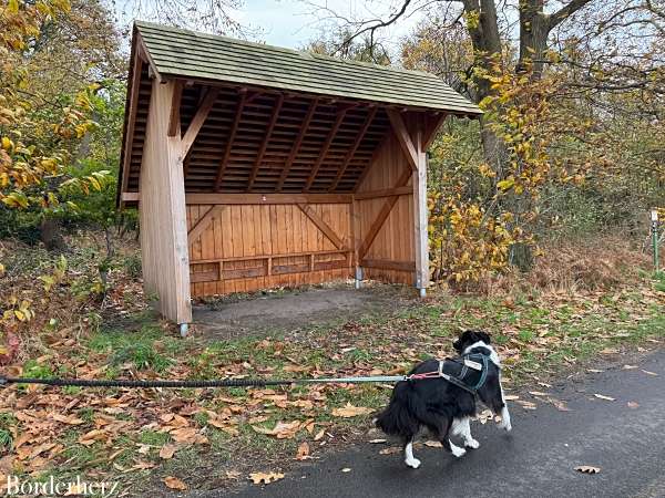 Wandern auf dem Hohe Mark Steig