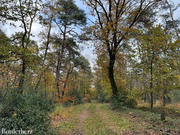 Wandern auf dem Hohe Mark Steig