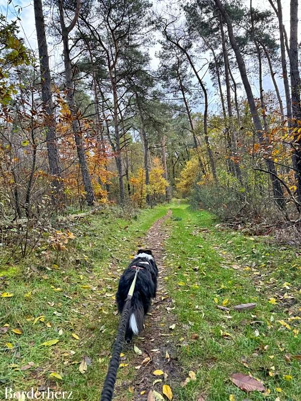 Wandern auf dem Hohe Mark Steig