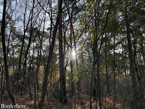 Wandern auf dem Hohe Mark Steig