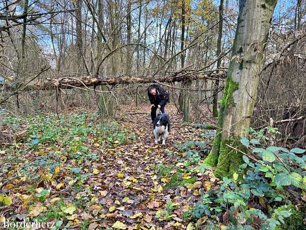 Wandern auf dem Hohe Mark Steig