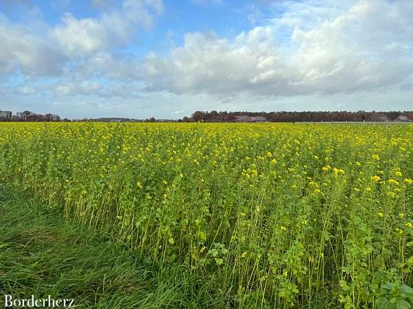 Wandern auf dem Hohe Mark Steig