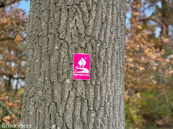 Wandern auf dem Hohe Mark Steig