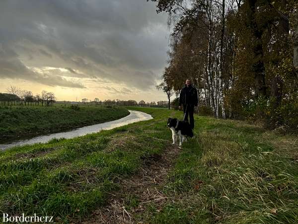 Wandern auf dem Hohe Mark Steig