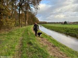 Wandern auf dem Hohe Mark Steig