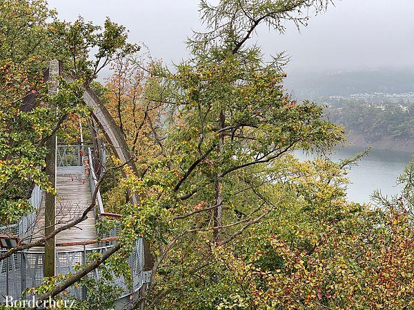 TreeTopWalk Edersee