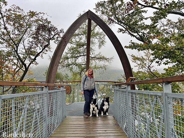 TreeTopWalk Edersee