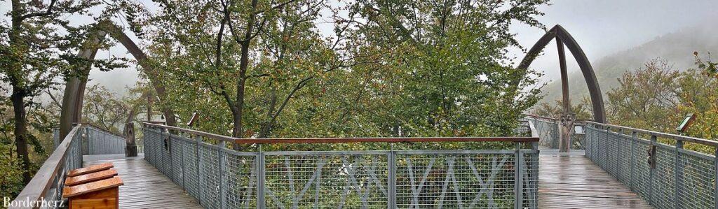 TreeTopWalk Edersee