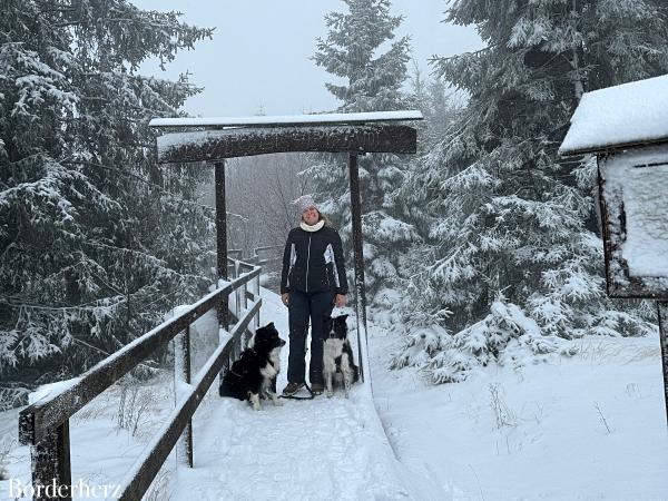 Winterwanderwege im Sauerland