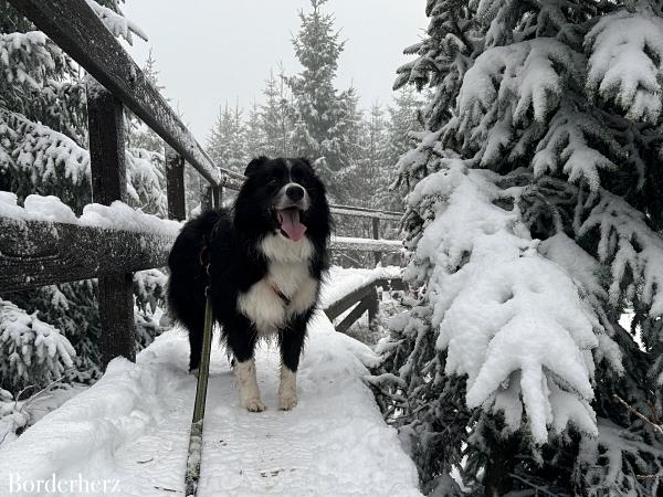 Winterwanderwege im Sauerland