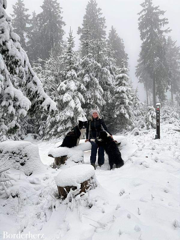 Winterwanderwege im Sauerland